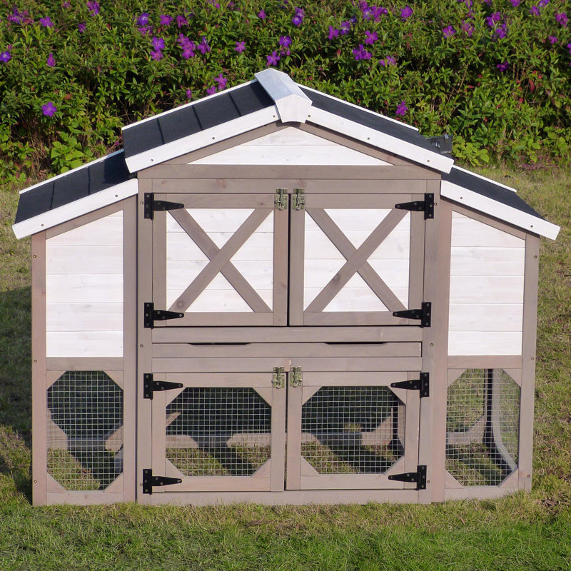 Archie & Oscar™ Aria Country Style Chicken Coop & Reviews Wayfair